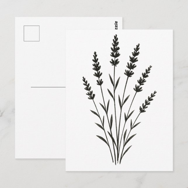Carte Postale Lavender Sprigs – Minimalist Botanical Design on (Devant / Derrière)