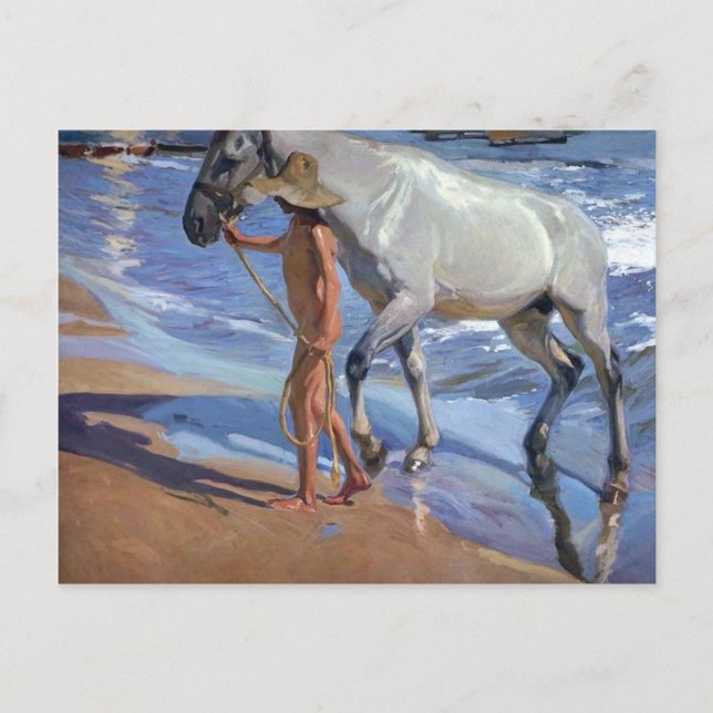 Carte Postale Laver le cheval (Devant)