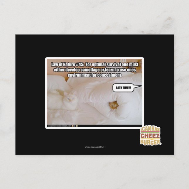 Carte Postale Law of Nature #45 (Devant)