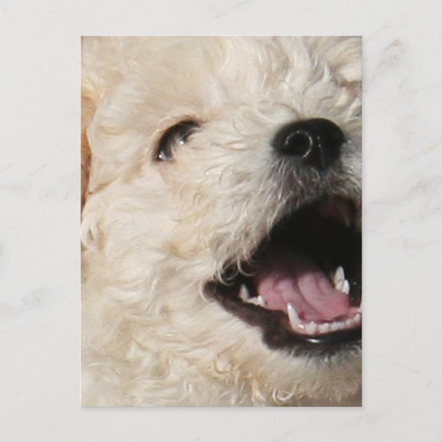 Carte postale Lawrence (Devant)