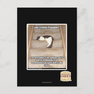 Carte Postale Laws of Kitteh Probability