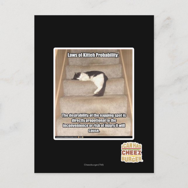 Carte Postale Laws of Kitteh Probability (Devant)
