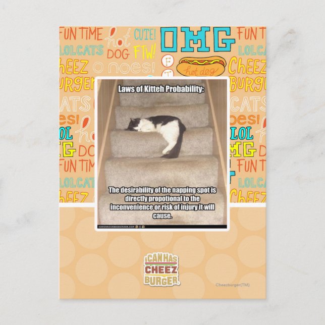 Carte Postale Laws of Kitteh Probability (Devant)