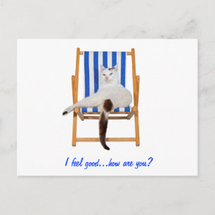 Carte Postale Lazy Day`s