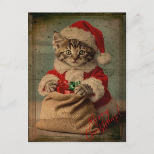 Carte Postale Le 'Bâillement de Noël' Kitten Élégant de Noël (Devant)
