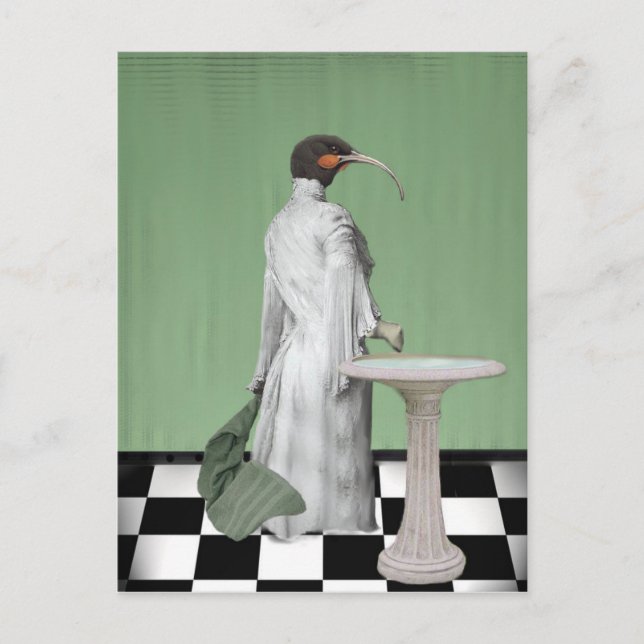 Carte Postale Le bain de la dame (Devant)