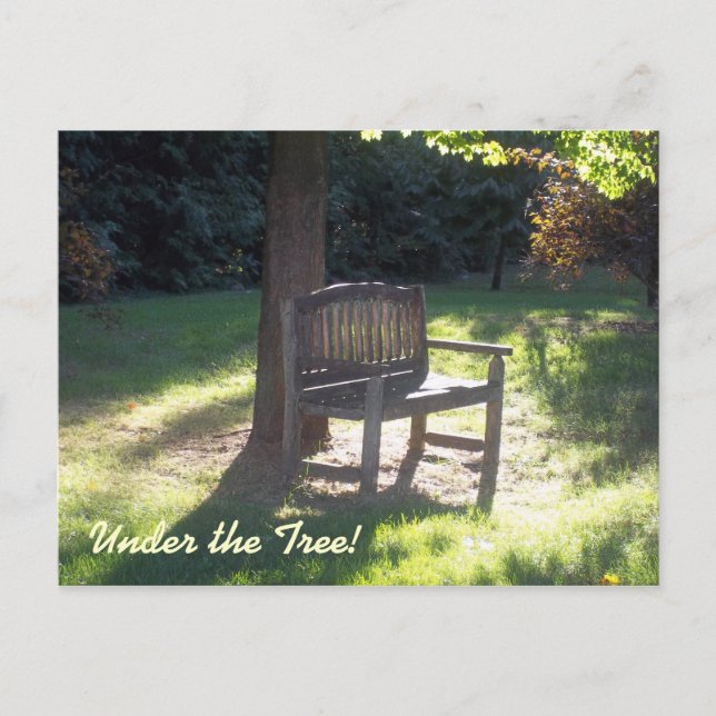 Carte Postale Le banc (Devant)