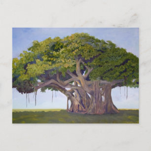 Carte Postale Le banian de MacArthur
