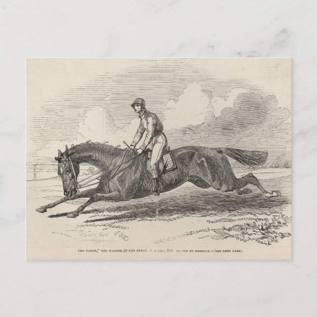 Carte Postale Le Baron', le gagnant du Grand St. Leger (Devant)