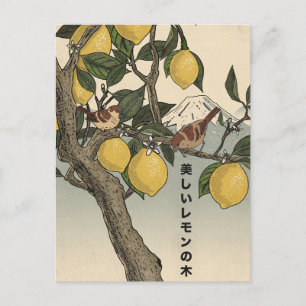 Carte Postale Le Beau Citronnier