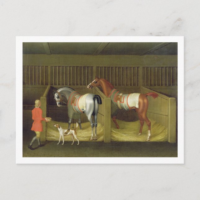 Carte Postale Le belongin courant célèbre d'écuries et de deux (Devant)