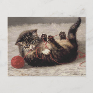 Carte Postale Le berceau de chat, un chat qui joue à la balle de