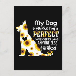 Carte Postale Le berger allemand My Dog pense que je suis parfai
