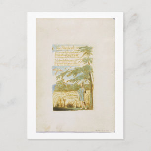 Carte Postale 'Le Berger', assiette 15 de 'Chansons d'Innocence'