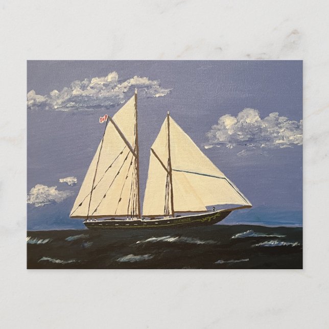 Carte Postale Le Bluenose, un bateau de course (Devant)