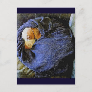 Carte Postale Le Bo Ball