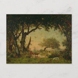 Carte Postale Le bord de la forêt à Fontainebleau