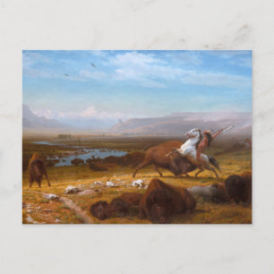 Carte Postale Le bout de Buffalo