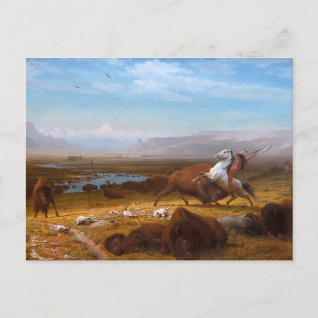Carte Postale Le bout de Buffalo (Devant)