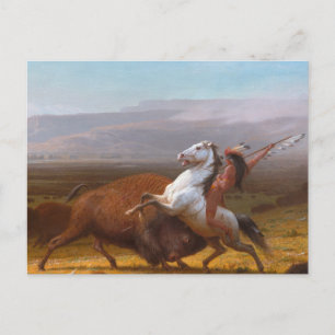 Carte Postale Le bout de Buffalo