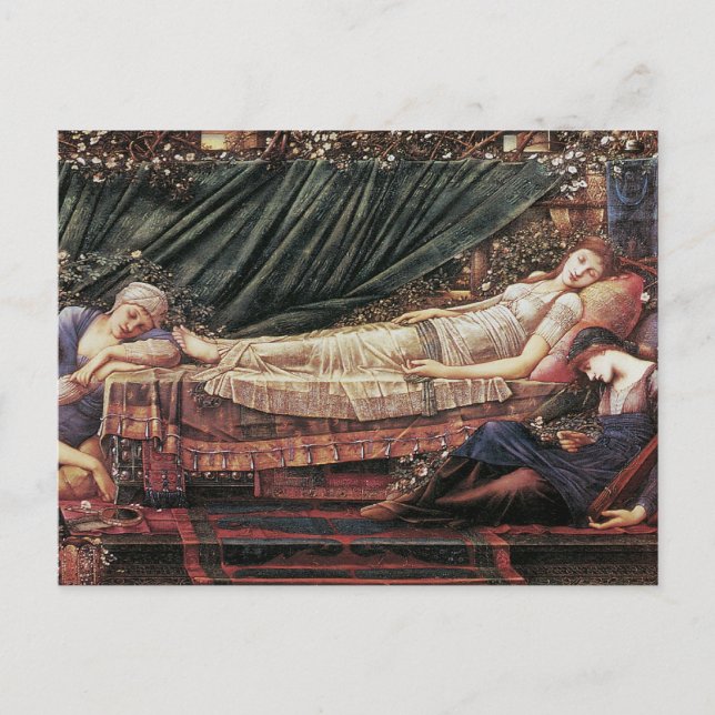 Carte Postale Le Briar Rose : La puissance Rose (Devant)
