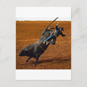 Carte Postale Le Bull Rider