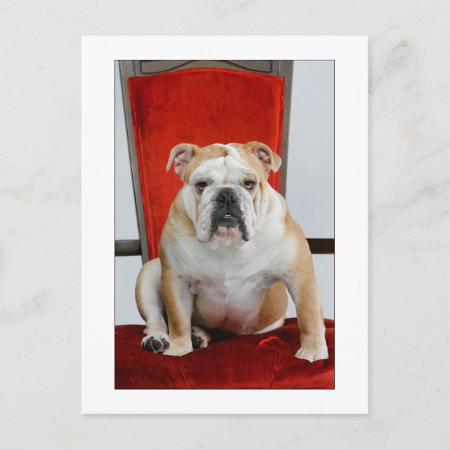 Carte Postale Le bulldog anglais sur le trône (Devant)