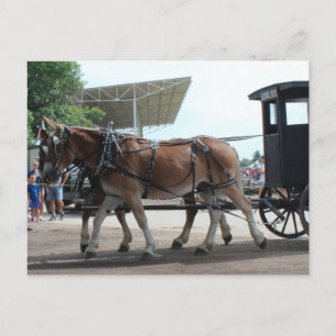 Carte Postale Le bus scolaire à Mule