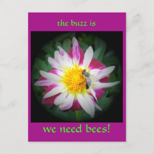 Carte Postale le buzz sur les abeilles