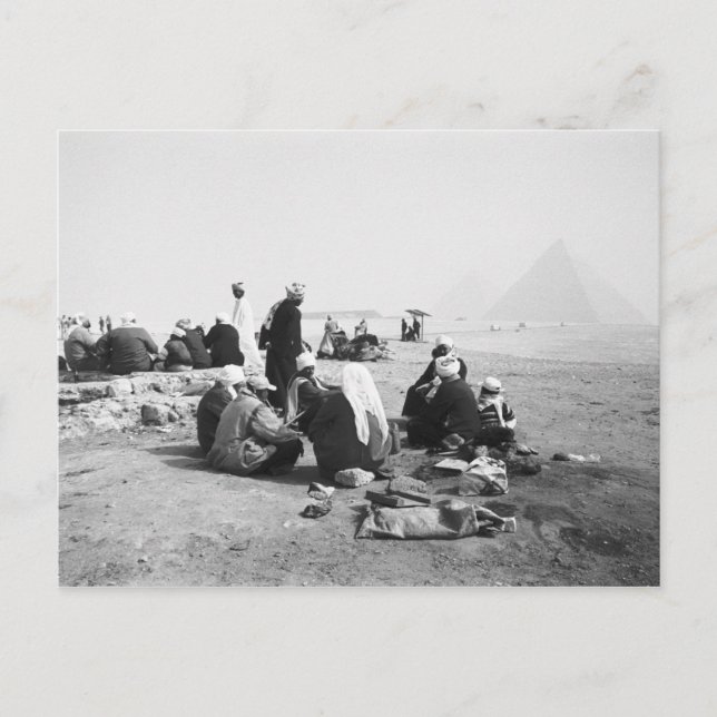 Carte Postale Le Caire Égypte, jockeys de chameaux Pyramides de  (Devant)
