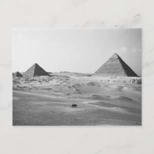 Carte Postale Le Caire Égypte, Pyramides de Gizeh