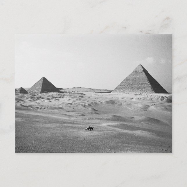 Carte Postale Le Caire Égypte, Pyramides de Gizeh (Devant)