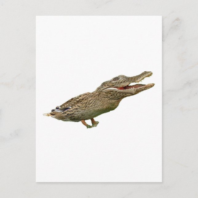 Carte Postale Le canard croisé (Devant)