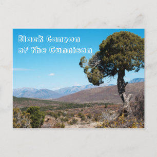 Carte Postale Le canyon noir du parc national Gunnison