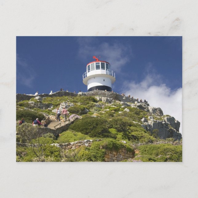 Carte Postale Le Cap, Afrique du Sud. Un phare sur la (Devant)