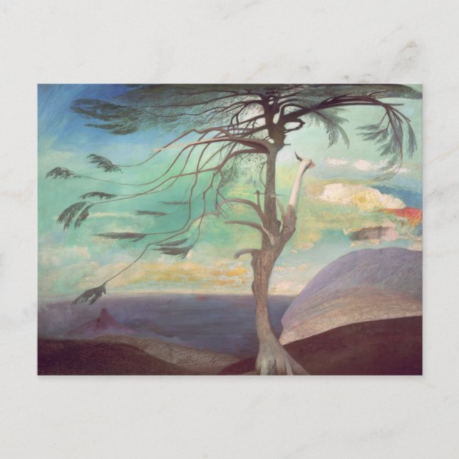 Carte Postale Le Cèdre Solitaire, 1907 (Devant)