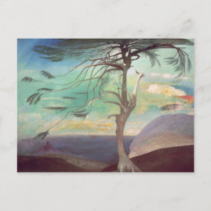 Carte Postale Le Cèdre Solitaire, 1907