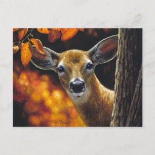 Carte Postale Le cerf blanc fait face aux couleurs de automne