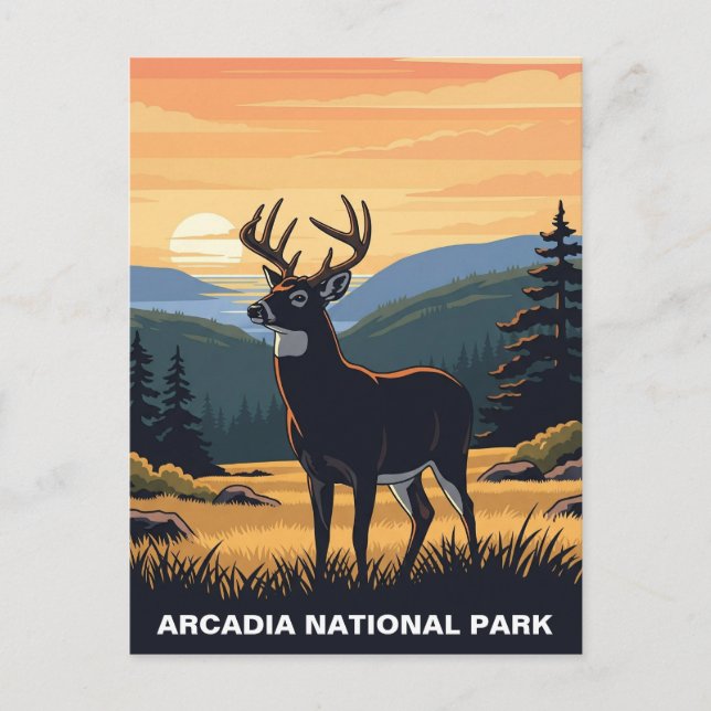 Carte Postale Le cerf dans le Parc national d'Arcadia (Devant)
