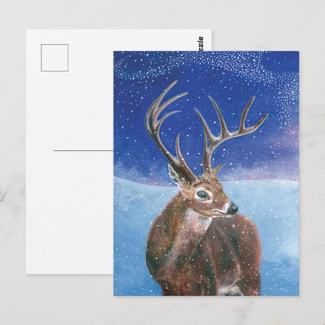 Carte Postale Le cerf rouge (Cervus elaphus) en hiver (Devant / Derrière)