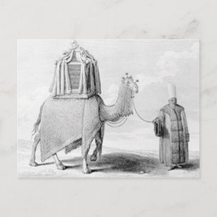 Carte Postale Le chameau sacré