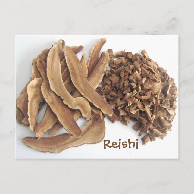 Carte Postale Le champignon Reishi (Devant)
