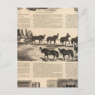 Carte Postale Le Champion des brevets de Herring sécurise