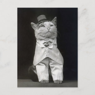 Carte Postale Le Chat Élégant, 1906