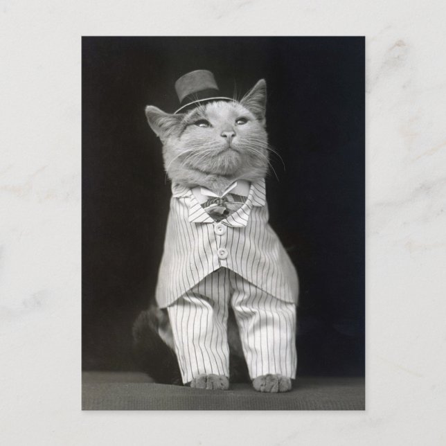 Carte Postale Le Chat Élégant, 1906 (Devant)