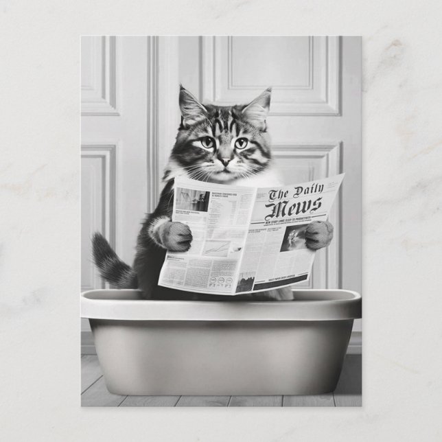 Carte Postale Le chat est assis sur les toilettes, le chat lit u (Devant)