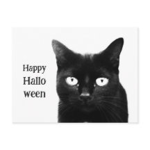 Le chat noir Halloween