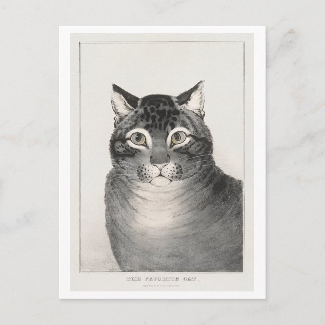 Carte Postale Le Chat Préféré (1838–48) Lithographie (Devant)