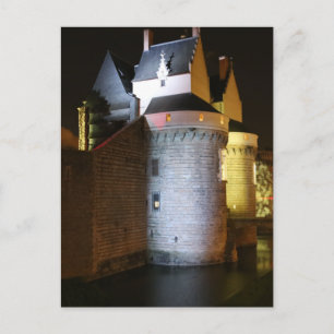 Carte Postale Le château de Nantes