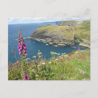 Carte Postale Le château de Tintagel